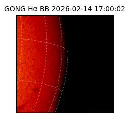 gong - 2026-02-14T17:00:02
