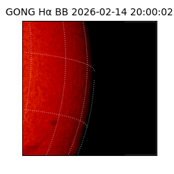 gong - 2026-02-14T20:00:02