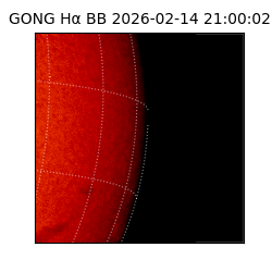 gong - 2026-02-14T21:00:02