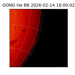 gong - 2026-02-14T16:00:02