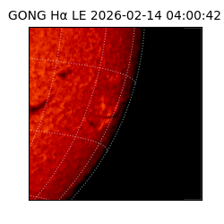 gong - 2026-02-14T04:00:42