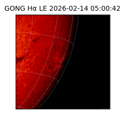 gong - 2026-02-14T05:00:42