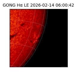 gong - 2026-02-14T06:00:42
