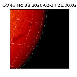gong - 2026-02-14T21:00:02