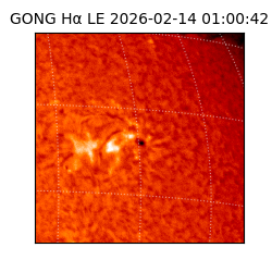 gong - 2026-02-14T01:00:42