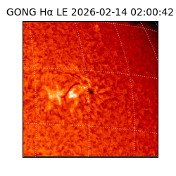 gong - 2026-02-14T02:00:42