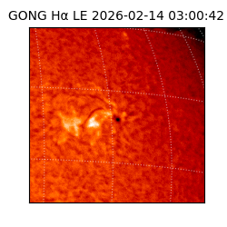 gong - 2026-02-14T03:00:42