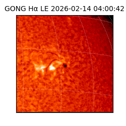 gong - 2026-02-14T04:00:42