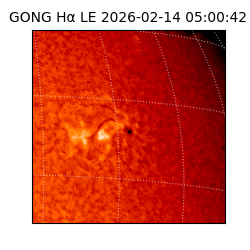 gong - 2026-02-14T05:00:42