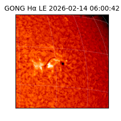 gong - 2026-02-14T06:00:42