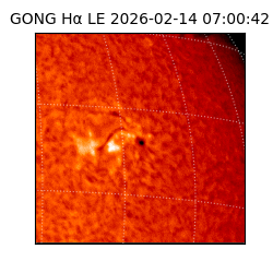 gong - 2026-02-14T07:00:42