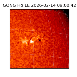 gong - 2026-02-14T09:00:42