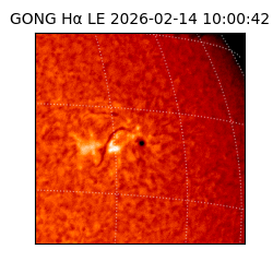 gong - 2026-02-14T10:00:42