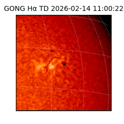 gong - 2026-02-14T11:00:22