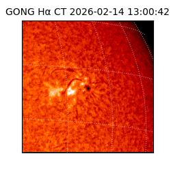 gong - 2026-02-14T13:00:42