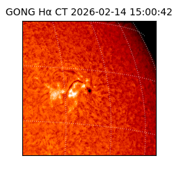 gong - 2026-02-14T15:00:42