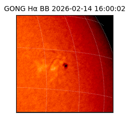 gong - 2026-02-14T16:00:02