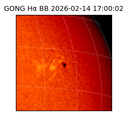 gong - 2026-02-14T17:00:02