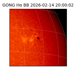 gong - 2026-02-14T20:00:02