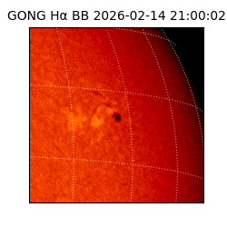 gong - 2026-02-14T21:00:02