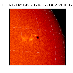 gong - 2026-02-14T23:00:02