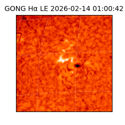 gong - 2026-02-14T01:00:42