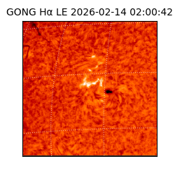 gong - 2026-02-14T02:00:42