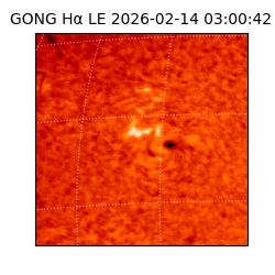 gong - 2026-02-14T03:00:42