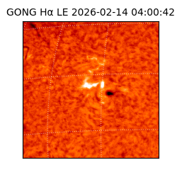 gong - 2026-02-14T04:00:42