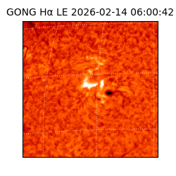 gong - 2026-02-14T06:00:42