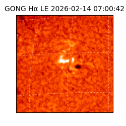 gong - 2026-02-14T07:00:42