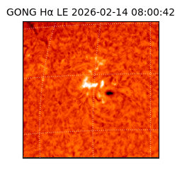 gong - 2026-02-14T08:00:42