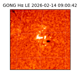 gong - 2026-02-14T09:00:42