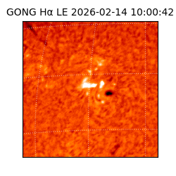 gong - 2026-02-14T10:00:42