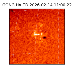 gong - 2026-02-14T11:00:22