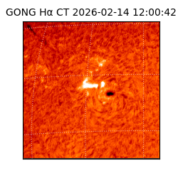 gong - 2026-02-14T12:00:42