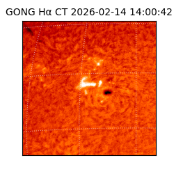 gong - 2026-02-14T14:00:42