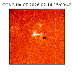 gong - 2026-02-14T15:00:42