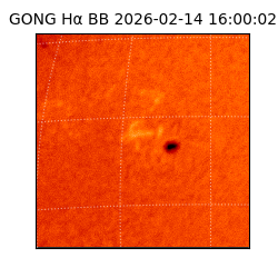 gong - 2026-02-14T16:00:02