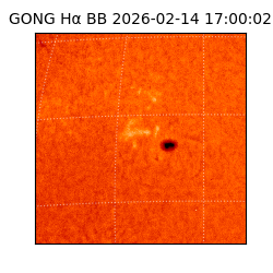 gong - 2026-02-14T17:00:02