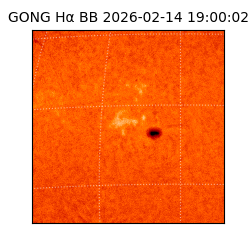 gong - 2026-02-14T19:00:02