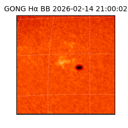 gong - 2026-02-14T21:00:02