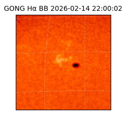 gong - 2026-02-14T22:00:02