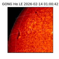 gong - 2026-02-14T01:00:42