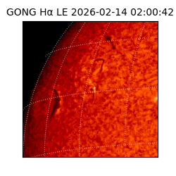 gong - 2026-02-14T02:00:42