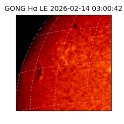 gong - 2026-02-14T03:00:42