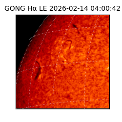 gong - 2026-02-14T04:00:42