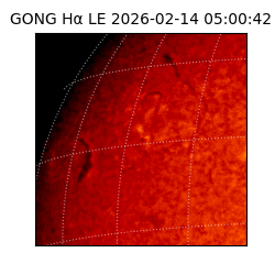 gong - 2026-02-14T05:00:42