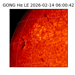 gong - 2026-02-14T06:00:42