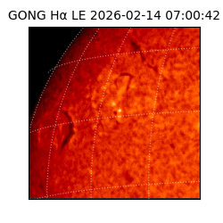 gong - 2026-02-14T07:00:42